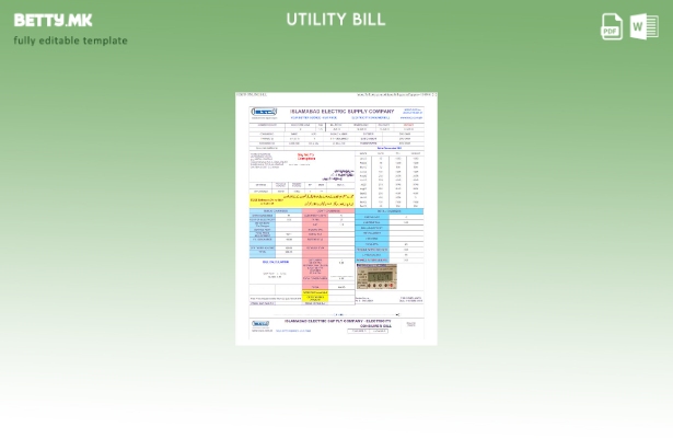 Модерен стил пакистански IESC шаблон за комунални сметки